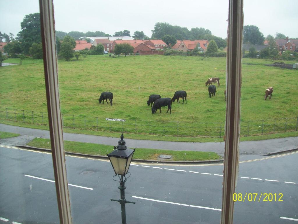 Minster Garth Guest House Beverley Habitación foto