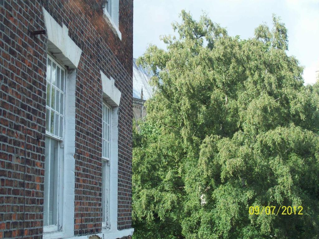 Minster Garth Guest House Beverley Habitación foto